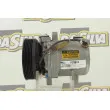 Compresseur, climatisation DA SILVA FC3815 - Visuel 2
