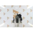 Module-EGR DA SILVA GR6192 - Visuel 3