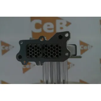 Radiateur, réaspiration des gaz d'échappement DA SILVA GR7013