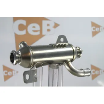 Radiateur, réaspiration des gaz d'échappement DA SILVA