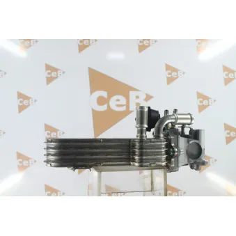 Radiateur, réaspiration des gaz d'échappement DA SILVA GR7024