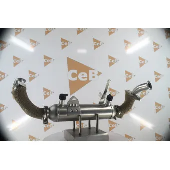Radiateur, réaspiration des gaz d'échappement DA SILVA