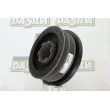 Poulie, vilebrequin DA SILVA PL8118 - Visuel 1