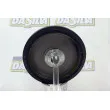 Poulie, vilebrequin DA SILVA PL8118 - Visuel 3