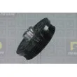 Poulie, vilebrequin DA SILVA PL8119 - Visuel 1