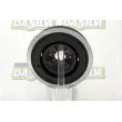 Poulie, vilebrequin DA SILVA PL8126 - Visuel 3