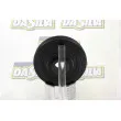 Poulie, vilebrequin DA SILVA PL8171 - Visuel 3