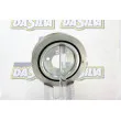 Poulie, vilebrequin DA SILVA PL8406 - Visuel 3