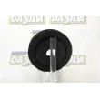 Poulie, vilebrequin DA SILVA PL8439 - Visuel 3