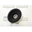 Poulie, vilebrequin DA SILVA PL8441 - Visuel 1