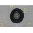 Poulie, vilebrequin DA SILVA PL8469 - Visuel 1