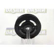 Poulie, vilebrequin DA SILVA PL8509 - Visuel 3