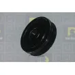 Poulie, vilebrequin DA SILVA PL8552 - Visuel 1