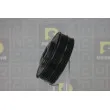 Poulie, vilebrequin DA SILVA PL8559 - Visuel 2