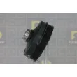 Poulie, vilebrequin DA SILVA PL8577 - Visuel 2