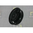 Poulie, vilebrequin DA SILVA PL8580 - Visuel 1