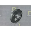 Poulie, vilebrequin DA SILVA PL8584 - Visuel 1