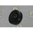 Poulie, vilebrequin DA SILVA PL8587 - Visuel 1