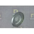 Poulie, vilebrequin DA SILVA PL8592 - Visuel 1