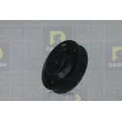 Poulie, vilebrequin DA SILVA PL8597 - Visuel 1