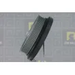 Poulie, vilebrequin DA SILVA PL8600 - Visuel 2