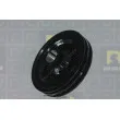 Poulie, vilebrequin DA SILVA PL8601 - Visuel 1