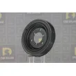 Poulie, vilebrequin DA SILVA PL8602 - Visuel 1
