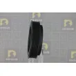 Poulie, vilebrequin DA SILVA PL8603 - Visuel 2