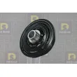 Poulie, vilebrequin DA SILVA PL8604 - Visuel 1
