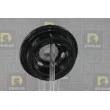 Poulie, vilebrequin DA SILVA PL8604 - Visuel 3