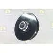 Poulie, vilebrequin DA SILVA PL8611 - Visuel 1