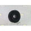 Poulie, vilebrequin DA SILVA PL8620 - Visuel 3