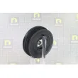 Poulie, vilebrequin DA SILVA PL8625 - Visuel 3