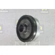 Poulie, vilebrequin DA SILVA PL8630 - Visuel 1