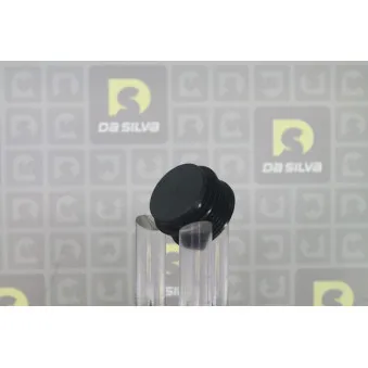 Poulie roue libre, alternateur DA SILVA PRL161