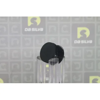 Poulie roue libre, alternateur DA SILVA PRL168