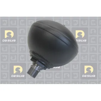 Accumulateur de pression, suspension/amortissement DA SILVA