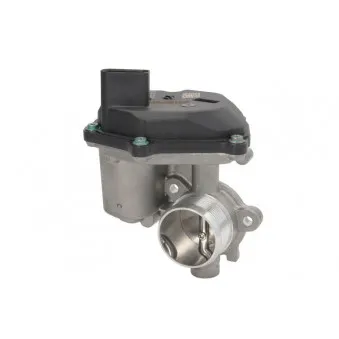 Vanne EGR DELPHI EG10489-12B1