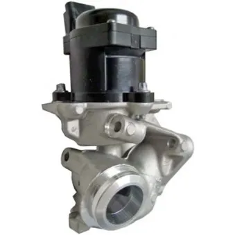 Vanne EGR HELLA 6NU 010 171-101