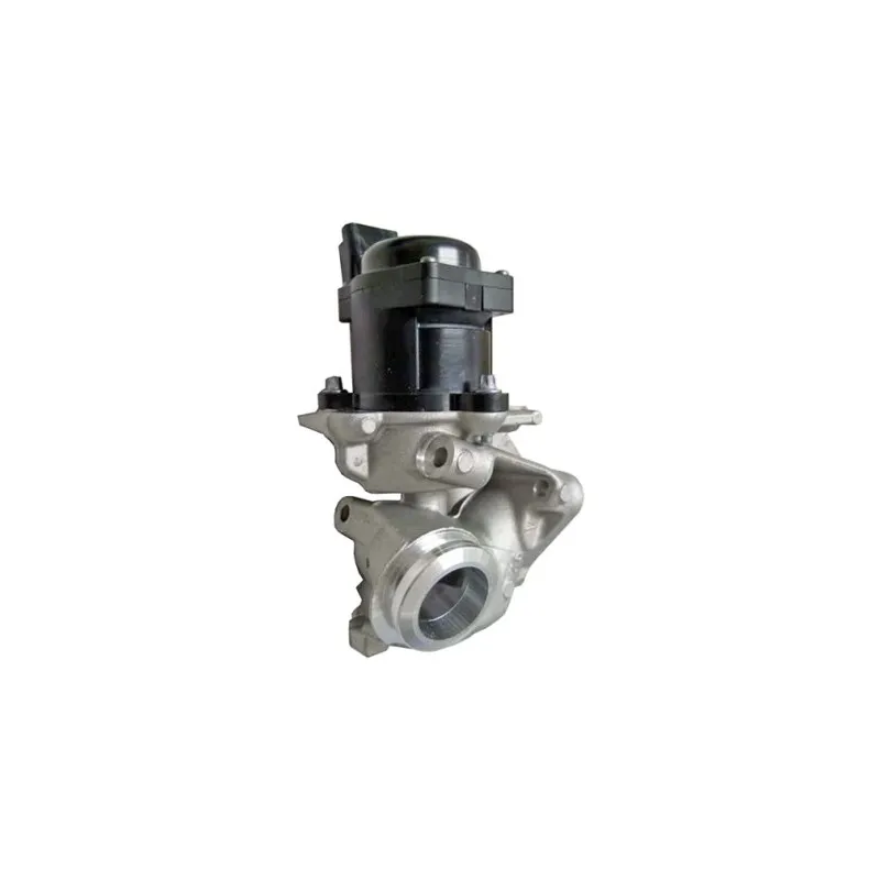 Vanne EGR HELLA 6NU 010 171-101