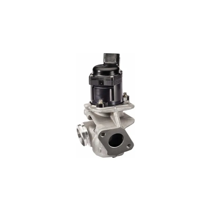 Vanne EGR HELLA 6NU 010 171-121