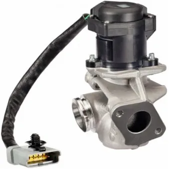 Vanne EGR HELLA 6NU 010 171-131