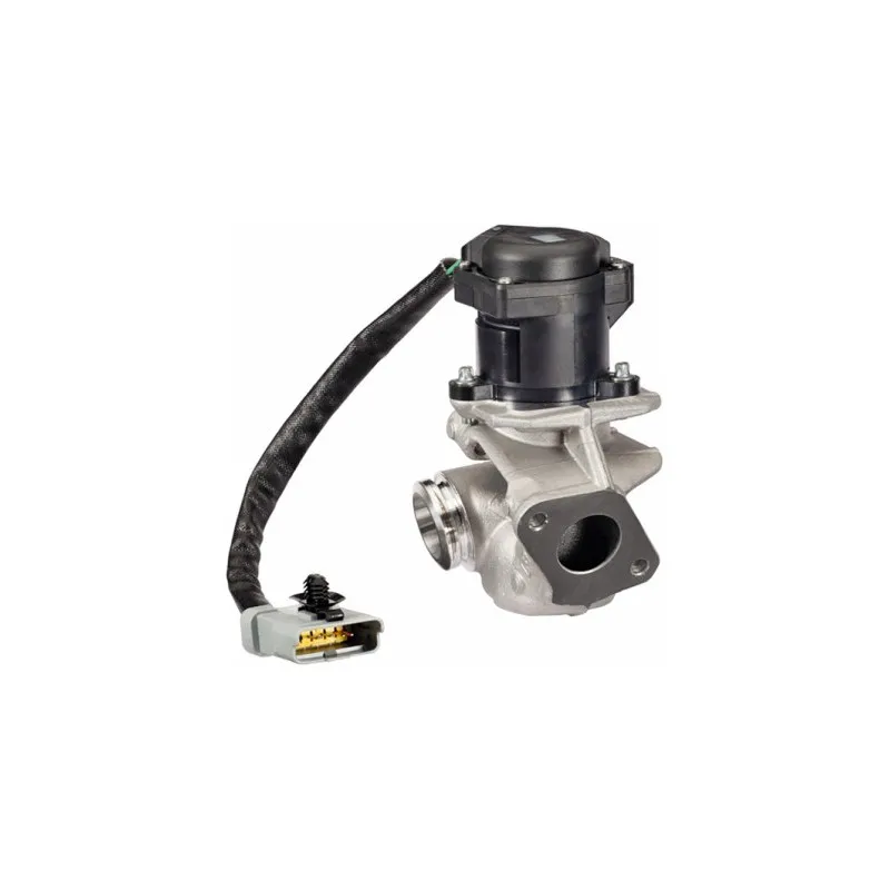 Vanne EGR HELLA 6NU 010 171-131