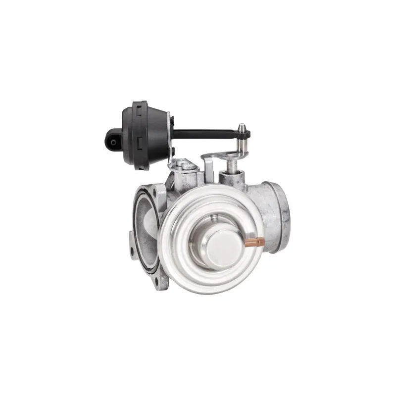 Vanne EGR HELLA 6NU 010 171-161
