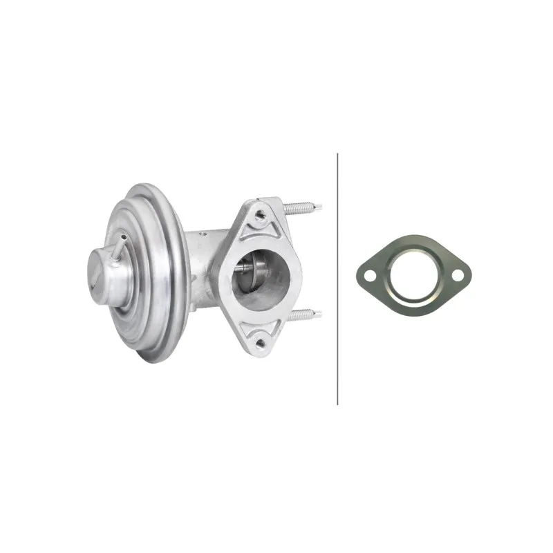 Vanne EGR HELLA 6NU 010 171-241