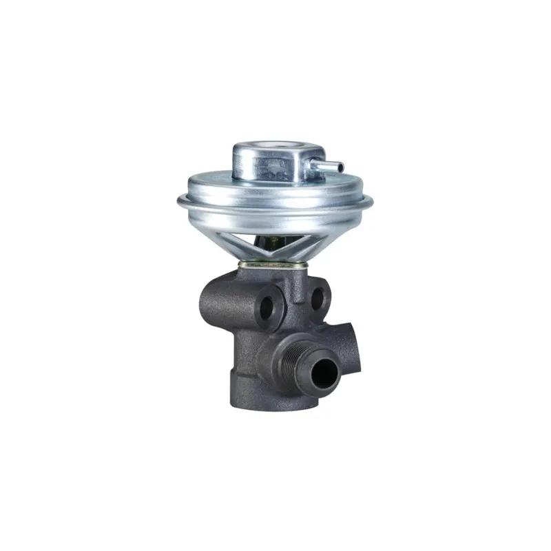 Vanne EGR HELLA 6NU 010 171-281