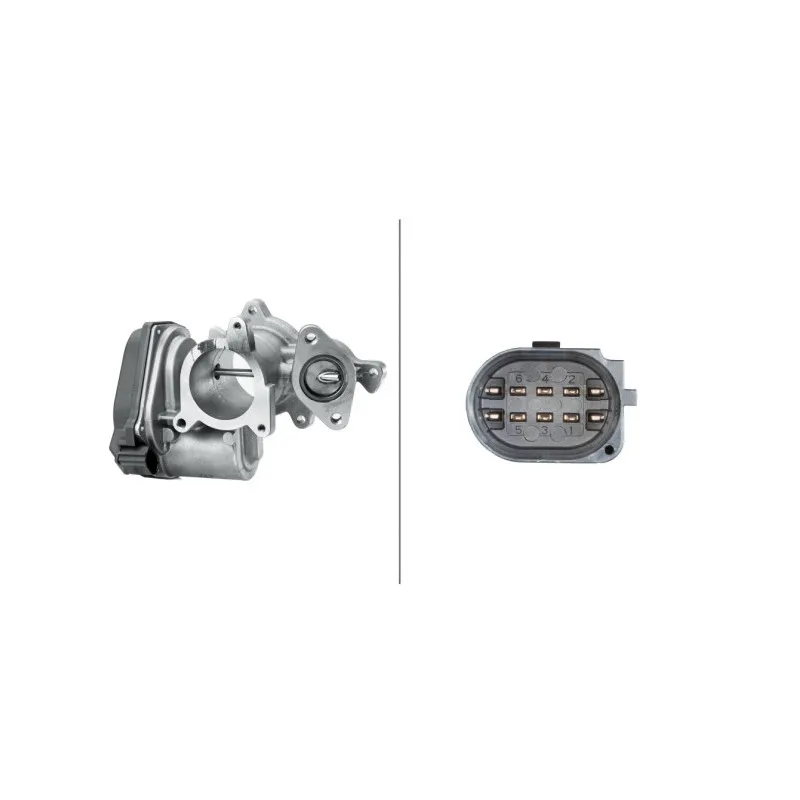 Vanne EGR HELLA 6NU 010 171-291