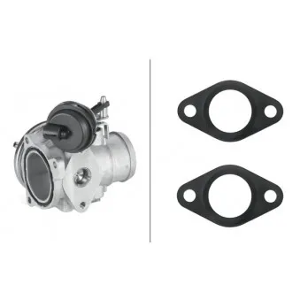 Vanne EGR HELLA 6NU 010 171-311