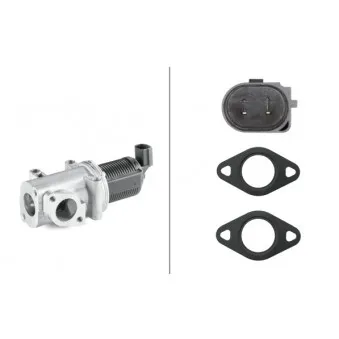 Vanne EGR HELLA 6NU 010 171-331