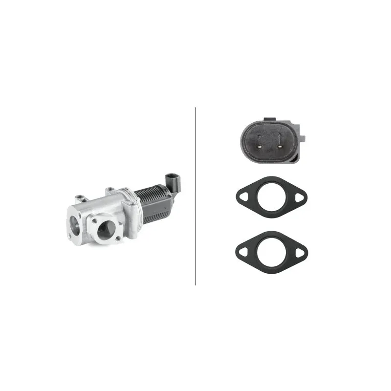 Vanne EGR HELLA 6NU 010 171-331
